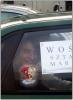 wosp_01_t1.jpg