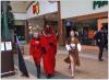 wosp_08_t1.jpg