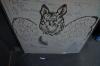 dsc00486_t1.jpg