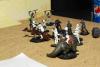 dsc_8387_t1.jpg