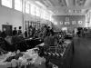 p7231582_t1.jpg