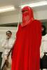 24_redguard_t1.jpg