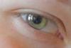 img_8723e2_t2.jpg